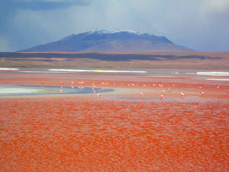 Bolivia Salt Flats, Bolivia travel