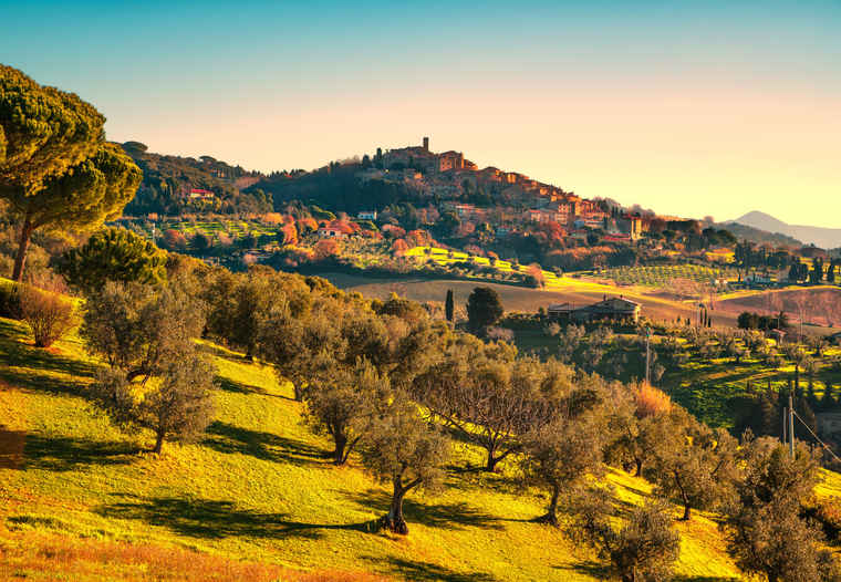  Tuscan countryside, Tuscany tours, Tour Italy, Italy tour packages
