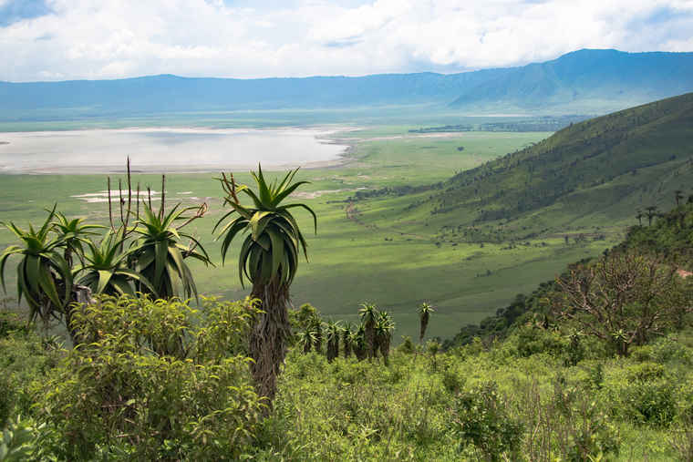 Ngorongoro Crater, Compare tours Tanzania 