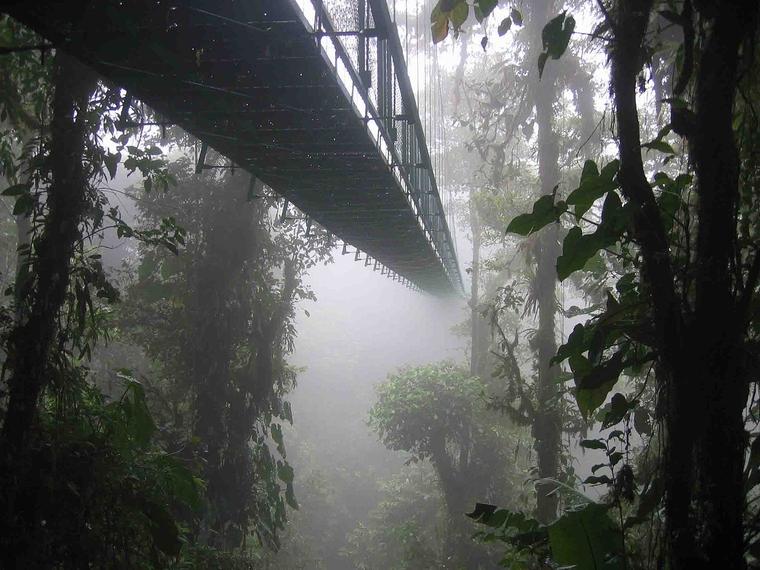 Monteverde Costa Rica, Costa Rica Tourism, Visit Central America