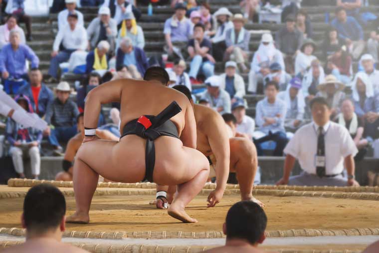 Sumo Japan, Sumo Wrestlers in Japan, Japan tourism